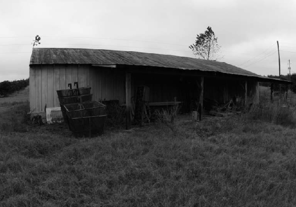 BW Farm